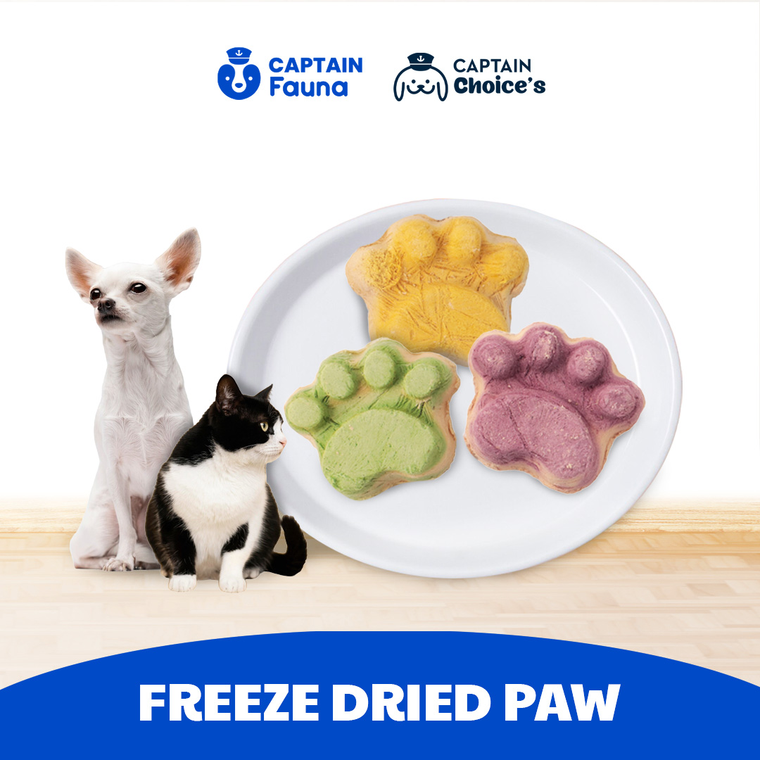 Freeze Dried Paw Dog Cat Snack Anjing Kucing